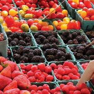 escapes-farmersmarket