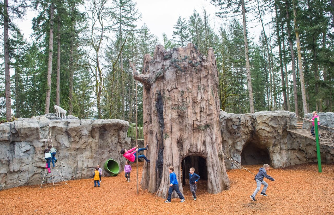 Kids' Trek Overview